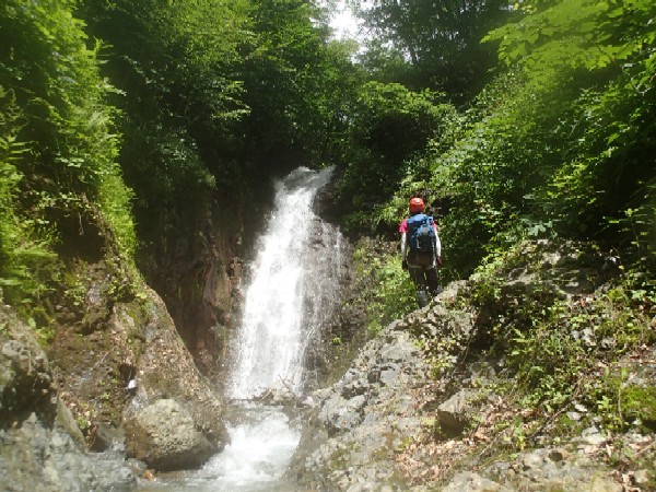 d0107938_12415618.jpg