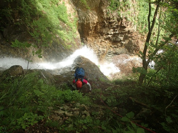 d0107938_1242197.jpg