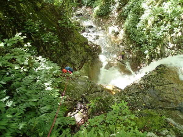 d0107938_1242233.jpg
