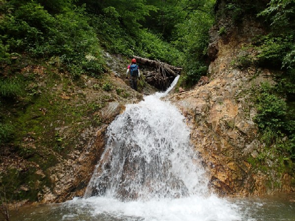 d0107938_1242887.jpg