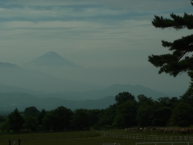 a0143839_13282044.jpg