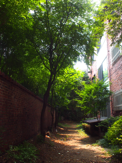 f0035251_20441476.jpg