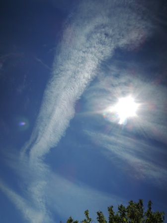 b0173754_13371819.jpg