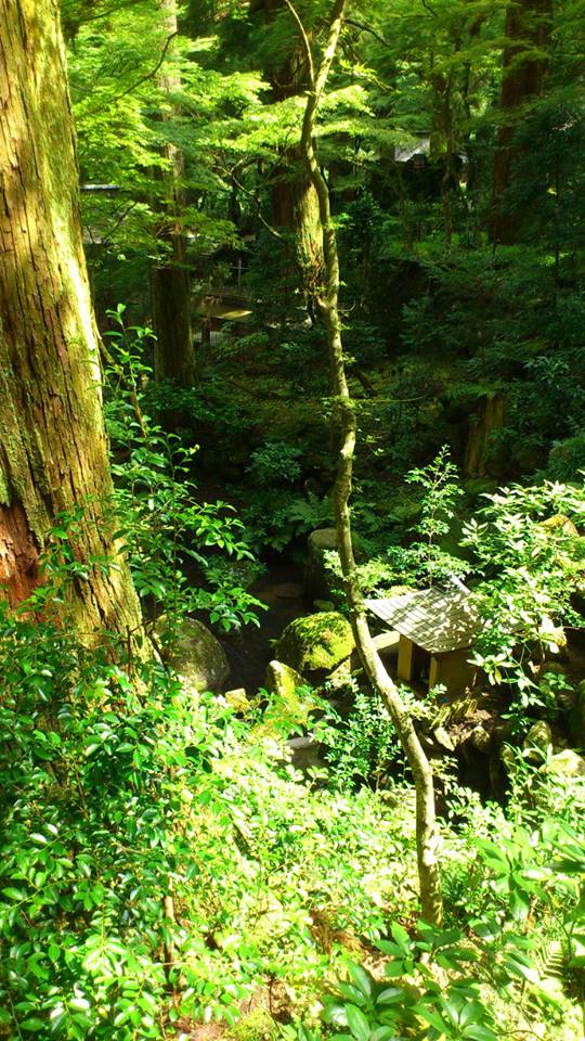 c0220154_12383567.jpg