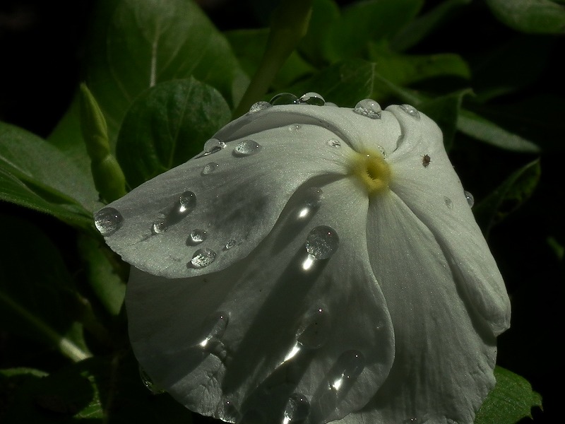 a0018655_2033896.jpg