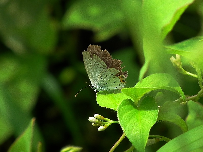 a0018655_207187.jpg