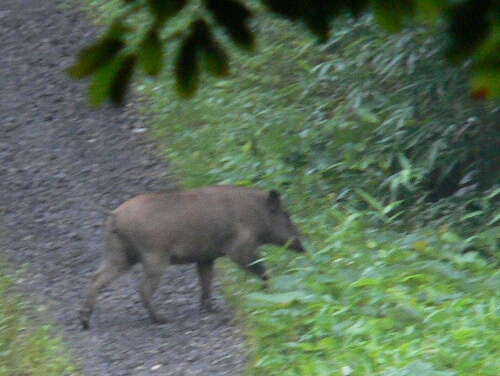 c0294658_11125480.jpg