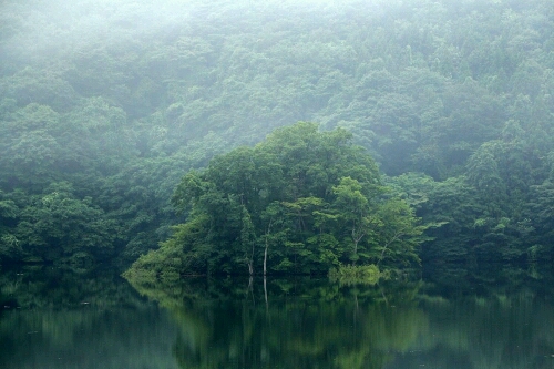 c0294658_1223355.jpg