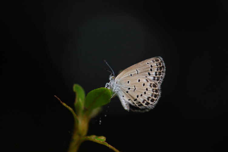b0167762_221245100.jpg