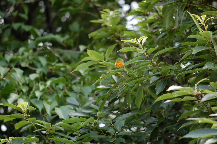b0167762_2215849.jpg