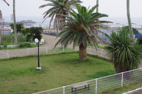 c0298565_22523136.jpg
