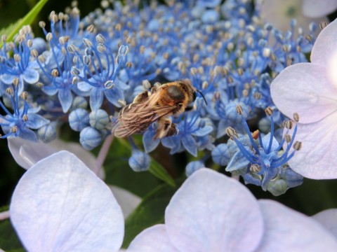 e0045768_21554078.jpg
