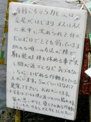 e0045768_2158467.jpg