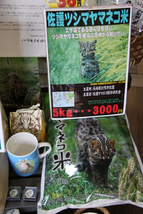 f0207669_10441289.jpg