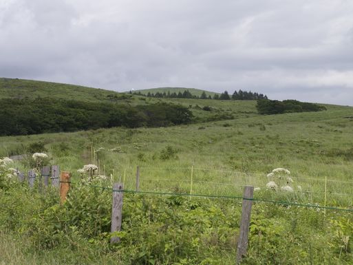 f0170173_21393610.jpg