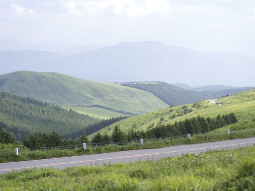 f0170173_214813100.jpg