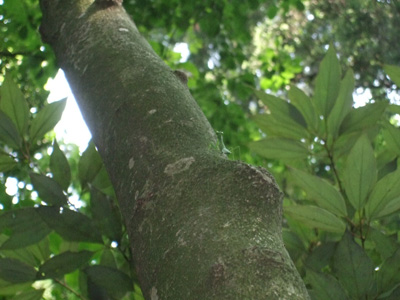 c0152274_1848393.jpg