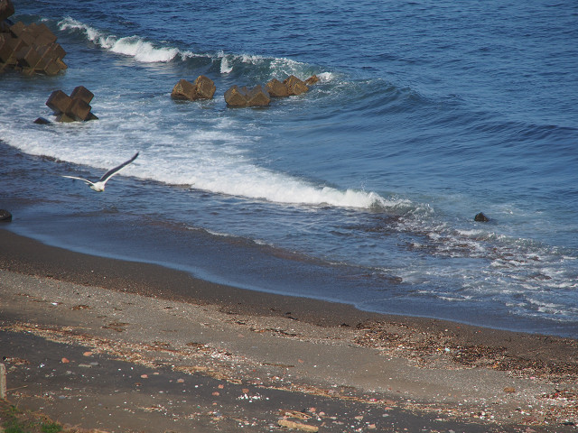 a0151577_17145116.jpg