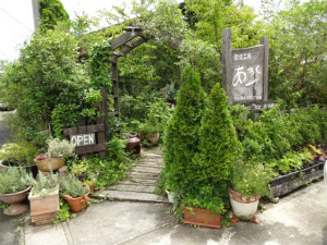 d0255078_17284290.jpg