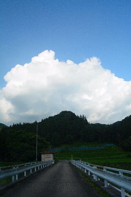 d0164783_1345848.jpg