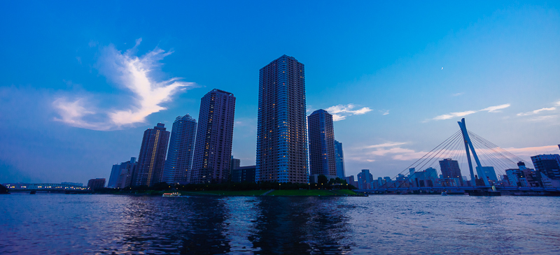 a0185693_21141193.jpg