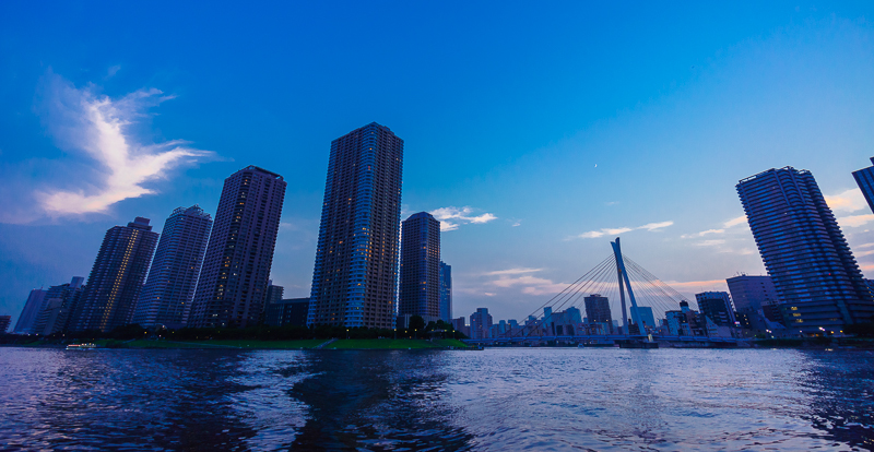 a0185693_21142049.jpg