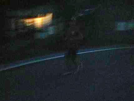 e0048994_1813770.jpg