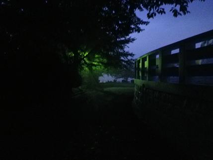 e0048994_1822496.jpg