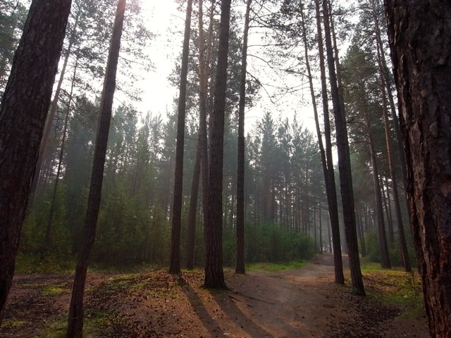 e0250594_0111820.jpg