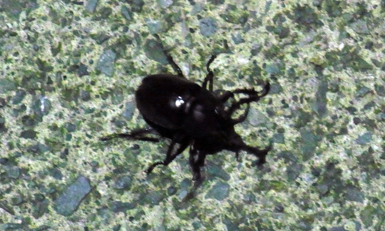 c0168096_6443898.jpg