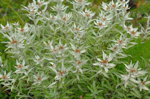 e0304001_22465578.jpg