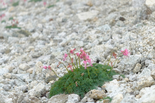 e0304001_23154127.jpg
