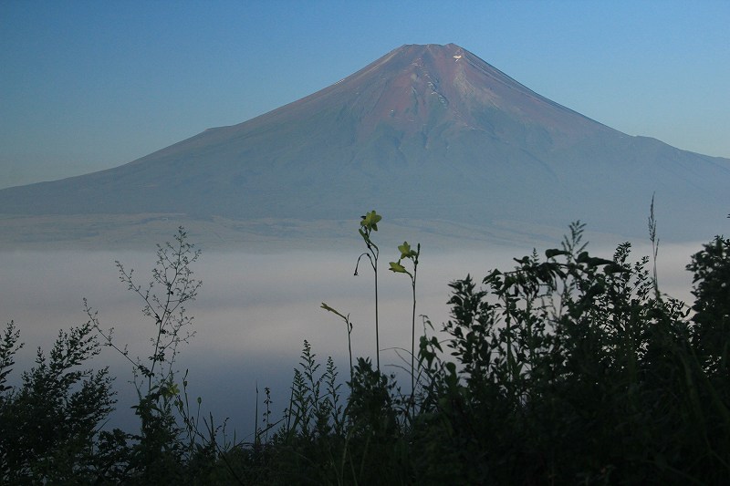 a0188405_516455.jpg