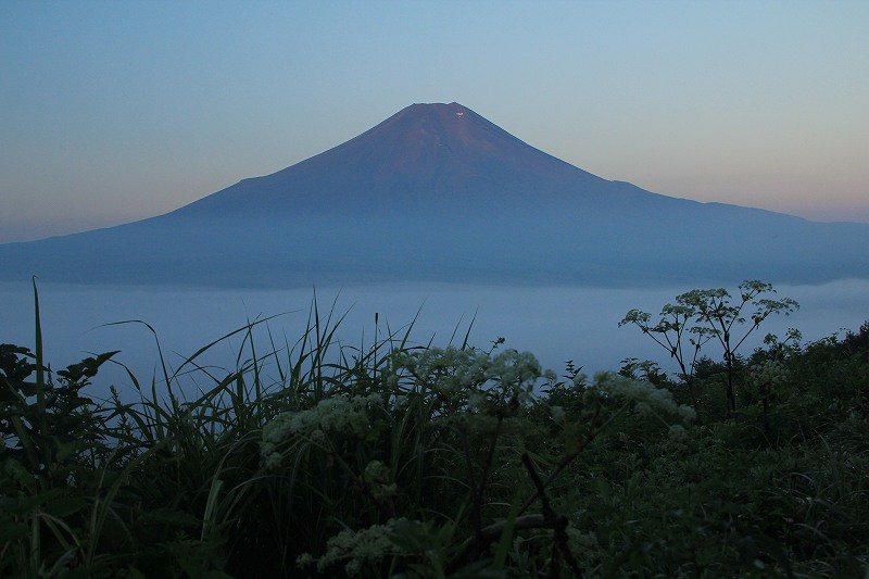 a0188405_5194191.jpg