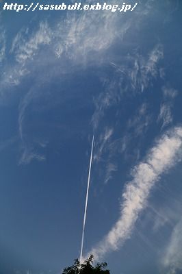 e0145805_15383847.jpg