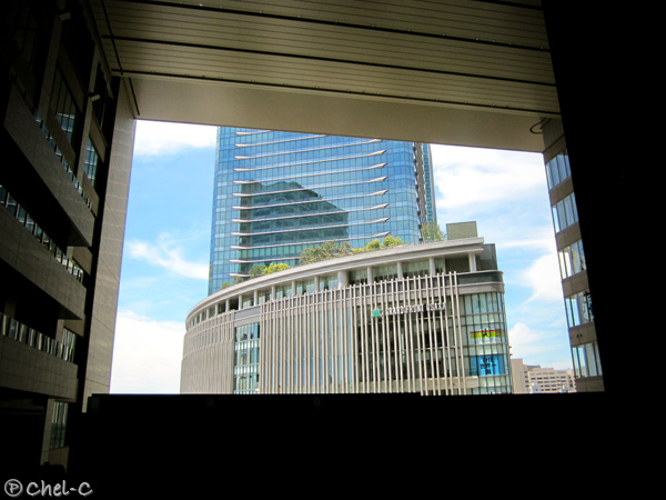 a0154706_736333.jpg