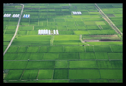 b0014607_16395336.jpg