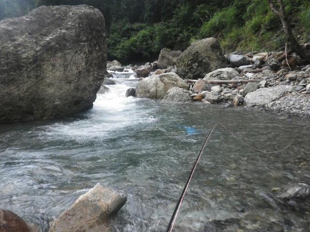 b0172209_8155381.jpg