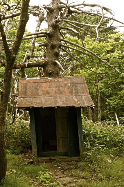 c0153411_04303.jpg
