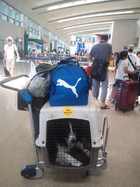 d0224111_13194469.jpg