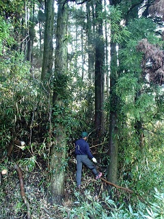 f0031420_7453831.jpg