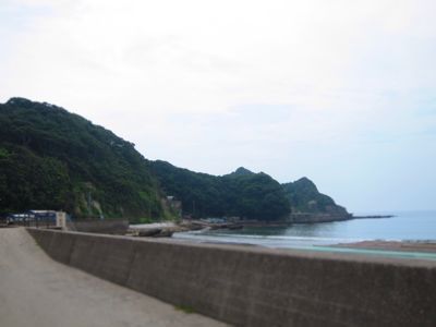 a0149621_963229.jpg
