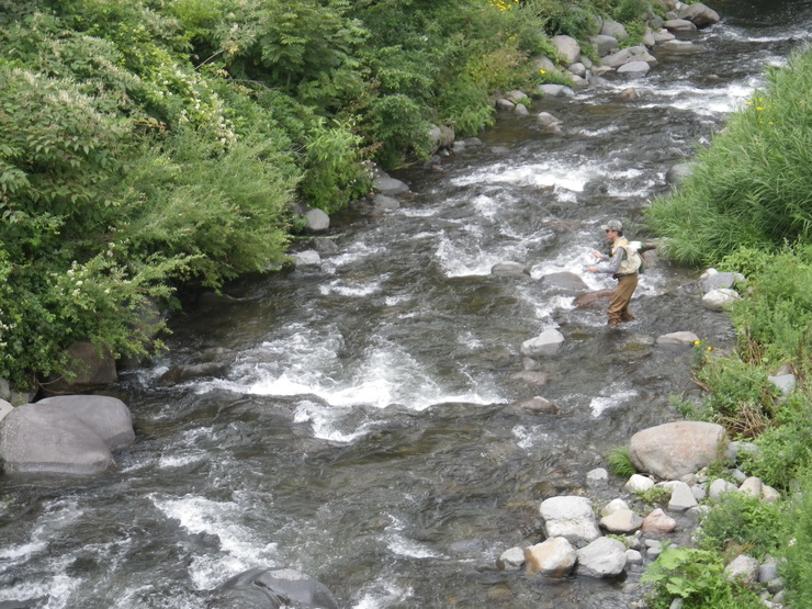d0257922_104259.jpg