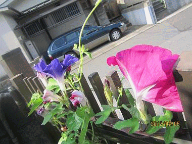 d0065324_0194979.gif