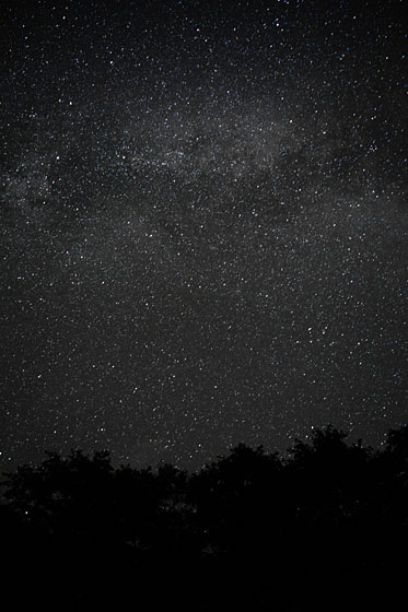 e0025030_7572257.jpg