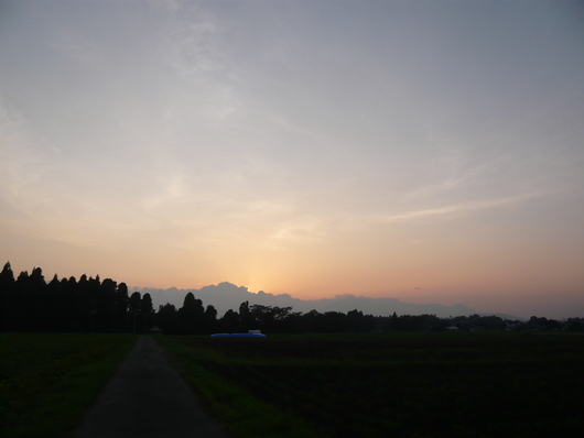 a0206332_6361384.jpg
