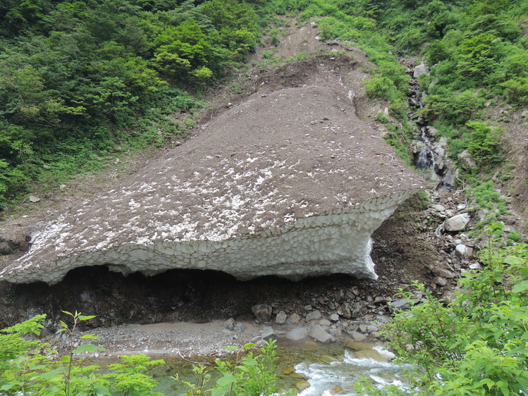 f0118332_1033376.jpg
