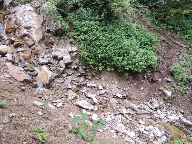 f0118332_10401669.jpg