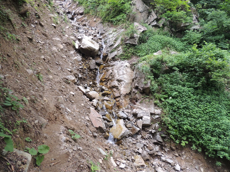 f0118332_10412149.jpg