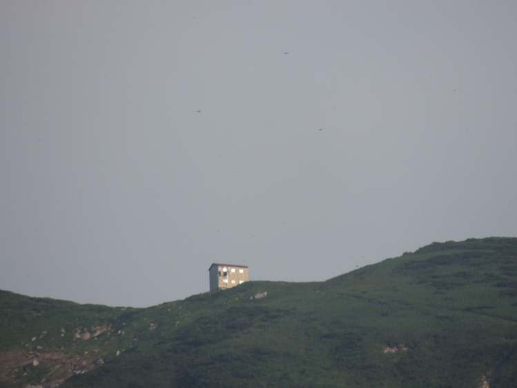 f0118332_1053687.jpg